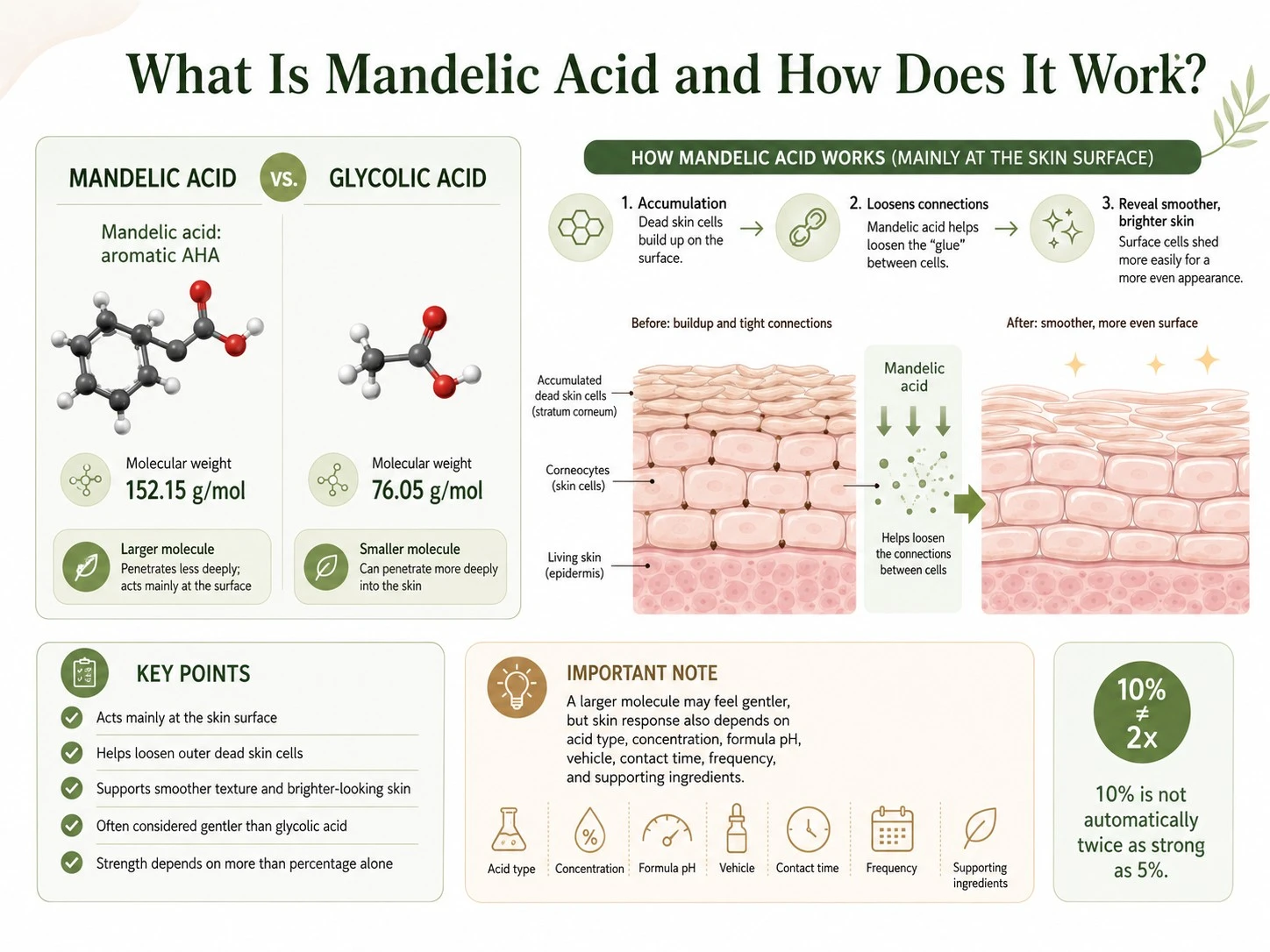 What Is Mandelic Acid and How Does It Work illustration showing AHA exfoliation molecule size and skin surface - Zicail Beauty What Is Mandelic Acid and How Does It Work illustration showing AHA exfoliation molecule size and skin surface - Mandelic Acid for Skin: Benefits, How to Use & Safety