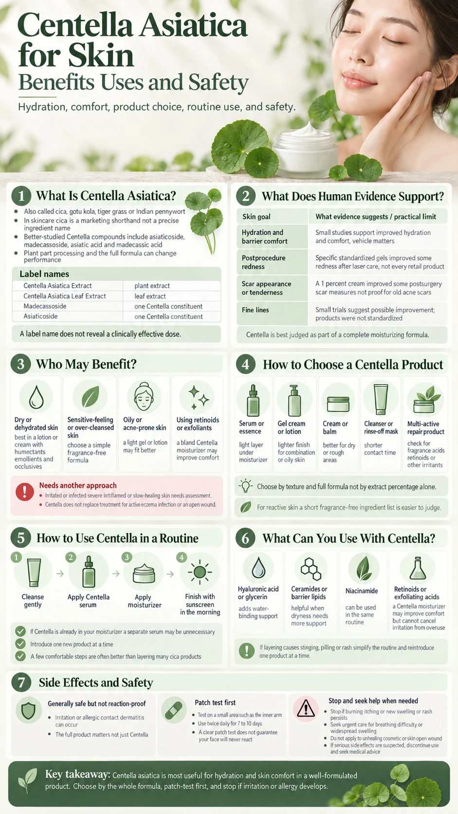 Centella Asiatica for Skin Benefits Uses and Safety complete skincare guide infographic - Zicail Beauty Centella Asiatica for Skin Benefits Uses and Safety complete skincare guide infographic - Centella Asiatica for Skin: Benefits, Uses & Safety