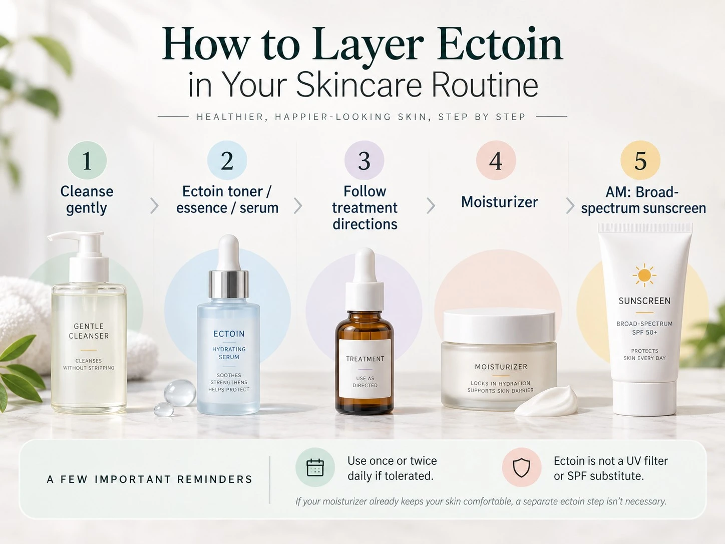 How to Layer Ectoin in Your Skincare Routine illustration showing cleanser ectoin serum treatment moisturizer and sunscreen - Zicail Beauty How to Layer Ectoin in Your Skincare Routine illustration showing cleanser ectoin serum treatment moisturizer and sunscreen - Ectoin for Skin: Benefits, Uses, and Side Effects Guide